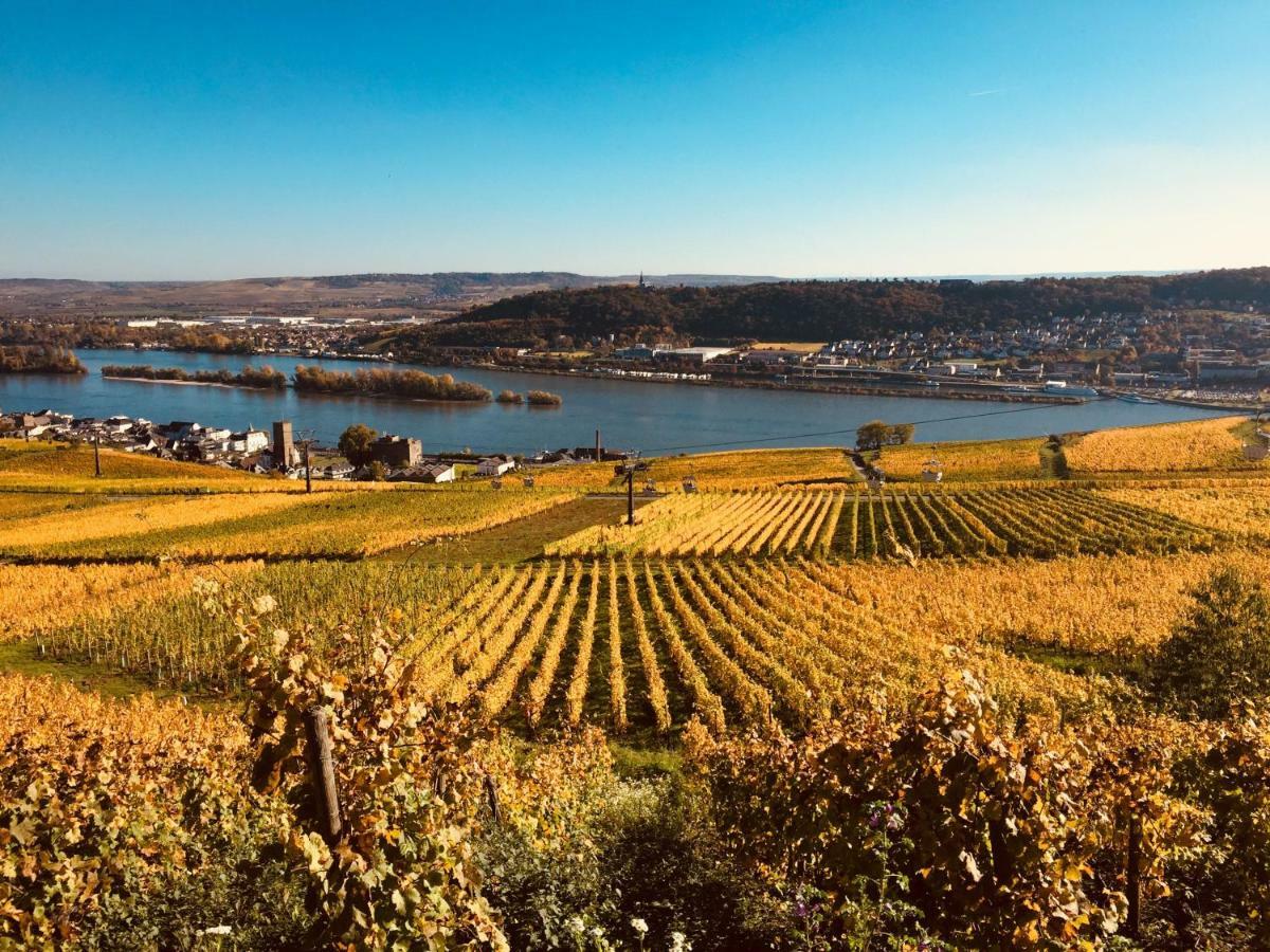Altdeutsche Weinstube Hotel Ruedesheim am Rhein Ngoại thất bức ảnh